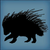 File:Ping porcupine.png
