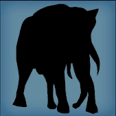 File:Ping elephant.png
