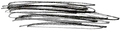 Thumbnail for version as of 15:10, 3 May 2026